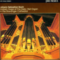 Haga,kolbein / Bach - Toccata & Fuge - Music CD