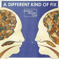 Bombay Bicycle Club - Different Kind Of Fix - Music CD