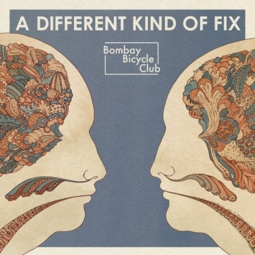 Different Kind of Fix [LP] Vinyl Record