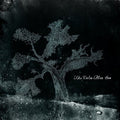 Calm Blue Sea - Calm Blue Sea - Vinyl Record