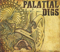 Platial Digs - Platial Digs - Music CD