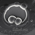 Failed Sun - Failed Sun - Music CD