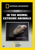 In The Womb: Extreme Animals - In The Womb: Extreme Animals - DVD