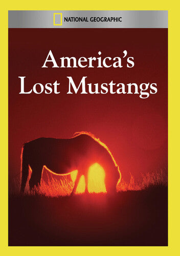 America's Lost Mustangs - America's Lost Mustangs - DVD