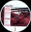 Lunch,lydia & Petit,philippe - In Comfort - Vinyl Record