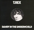 T-rex - Dandy In The Underworld - Music CD