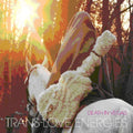 Death In Vegas - Trans-love Energies - Music CD