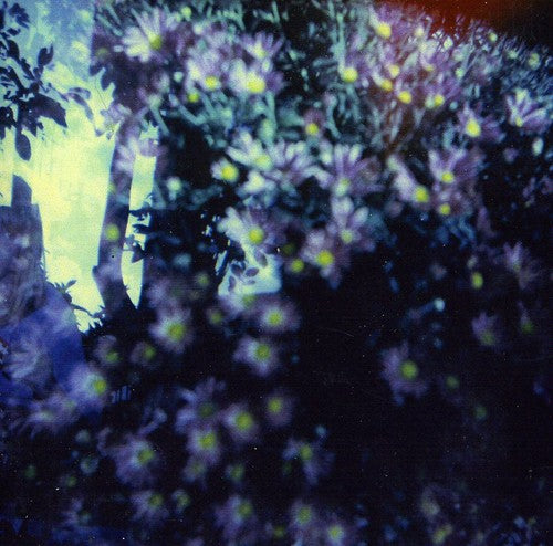 Is & Of The - Heads Phased For Dreamless Sleep - Music CD