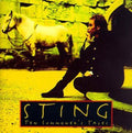 Sting - Ten Summoner's Tales (jewel Box) - Music CD