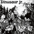 Dinosaur Jr - Dinosaur Jr - Vinyl Record
