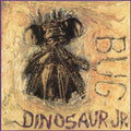 Dinosaur Jr - Bug - Vinyl Record