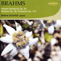 Brahms / Dichter - Handel Variations Waltzes & Fantasias - Music CD