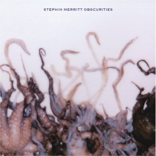 Merritt,stephin - Obscurities - Vinyl Record