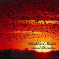 Blackbird Sunset - Casual Obsessions - Music CD