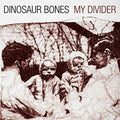 Dinosaur Bones - My Divider (vinyl) - Vinyl Record