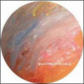 Deep Space Orchestra - Bucktown Fever - Vinyl Record