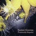 Pursuit Grooves - Frantically Hopeful - Music CD