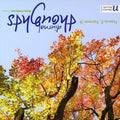 Fairman Iii / Slavak Radio Sym Orch / Stoltzman - Diurnal Thoughts - Music CD