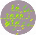 Fixmer,terence - Le Terrible - Vinyl Record
