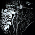 Downpilot - New Great Lakes - Vinyl Record