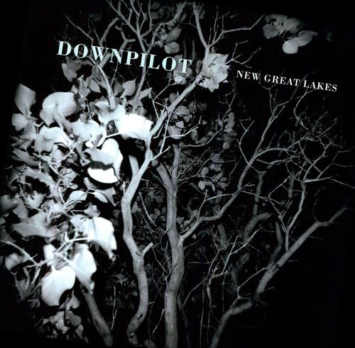Downpilot - New Great Lakes - Vinyl Record