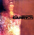 Carry On - Life Less Plagued - Vinyl Record