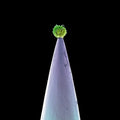 Gabriel,peter - New Blood - Music CD