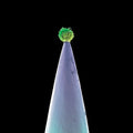 Gabriel,peter - New Blood - Music CD