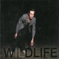 Icarus Line - Wildlife - Vinyl Record