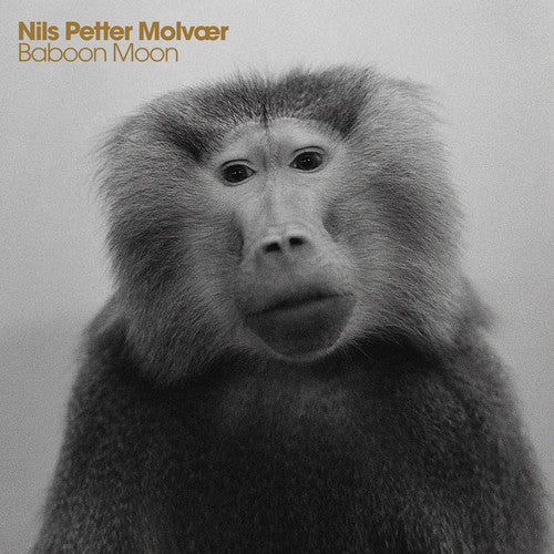 Molvaer,nils Petter - Baboon Moon - Music CD