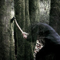Baptists - Bushcraft - Music CD
