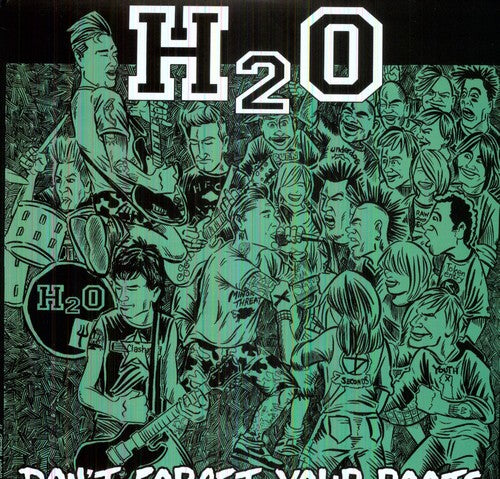 H2o - Don't Forget Your Roots - Vinyl Record