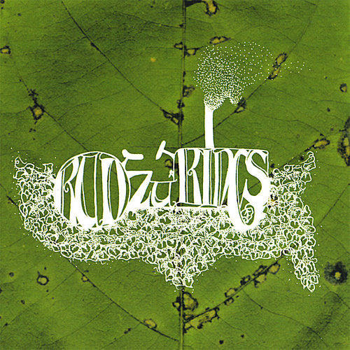 Kudzu Kings - Kudzu Kings - Music CD