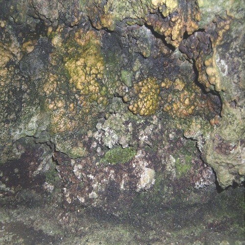 Hive Mind - Elemental Disgrace - Vinyl Record