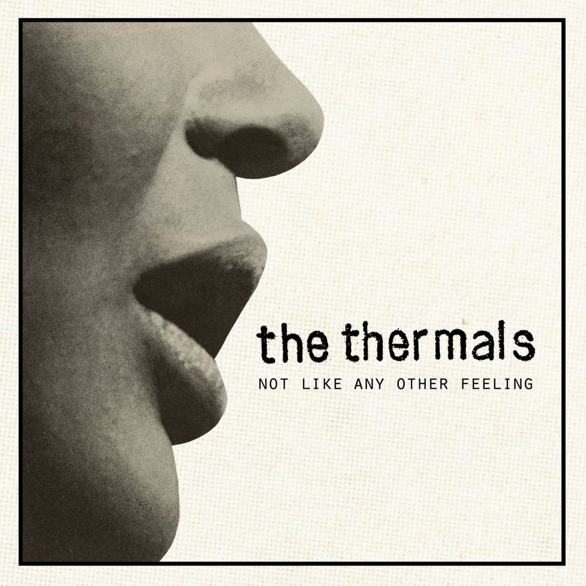 The Thermals - Not Like Any Other Feeling - 7 inch Vinyl Record