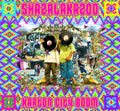 Shazalakazoo - Karton City Boom - Vinyl Record