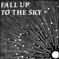 No Regular Play - Fall Up To The Sky - Vinyl Record