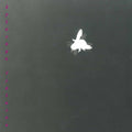 Ronchetti / Maurer / Braid - Xylocopa Violacea - Music CD