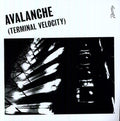 Alkan,erol / Boys Noize - Avalanche (terminal Velocity) - Vinyl Record