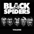 Black Spiders - Volume - Vinyl Record
