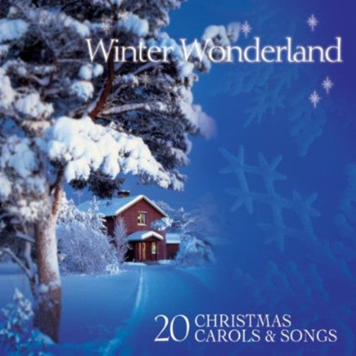 Winter Wonderland: Favourite Christmas Songs / Var - Winter Wonderland: Favourite Christmas Songs / Var - Music CD