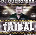 Dj Gueromixx - Ponte A Bailer En La Pista - Music CD