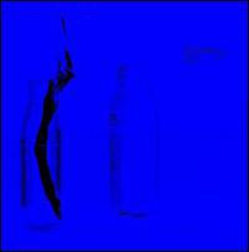 Pesopeo,bostro / Pional - Yes - Vinyl Record