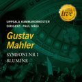 Mahler / Uppsala Chamber Orch / Magi - Symphony No. 1 / Blumine - Music CD