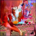 Crushed Beaks - Close Ups - Vinyl Record