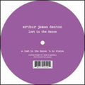Denton,arthur James - Lost In The Dance - Vinyl Record