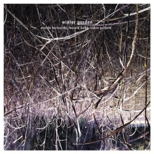 Bernocchi,eraldo / Budd,harold / Guthrie,robin - Winter Garden - Music CD