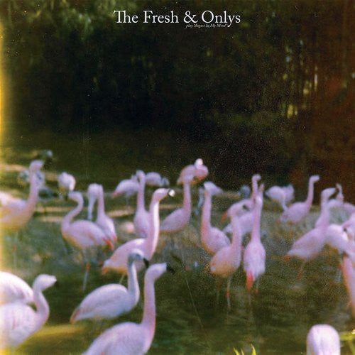 Fresh & Onlys - August In My Mind - Vinyl Record