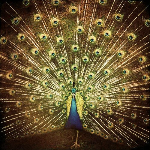 Difranco,ani - Which Side Are You On - Music CD