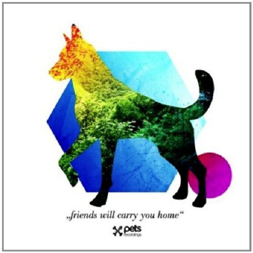 Friends Will Carry You Home / Various - Friends Will Carry You Home / Various - Vinyl Record